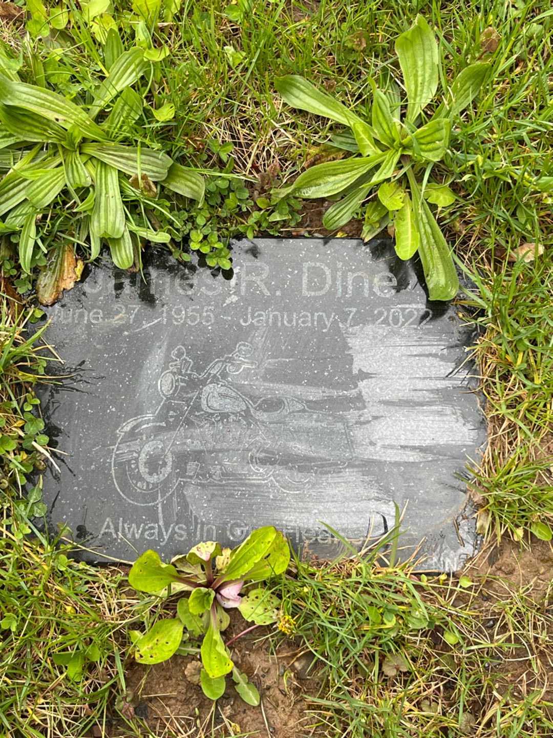 James Robert Dine's grave. Photo 4