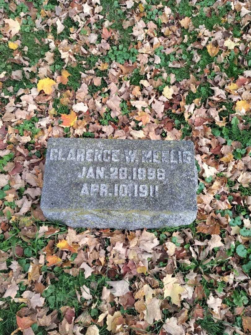 Clarence W. Meelig's grave. Photo 2