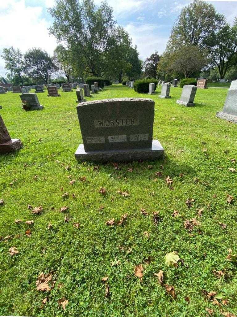 James H. Webster's grave. Photo 2