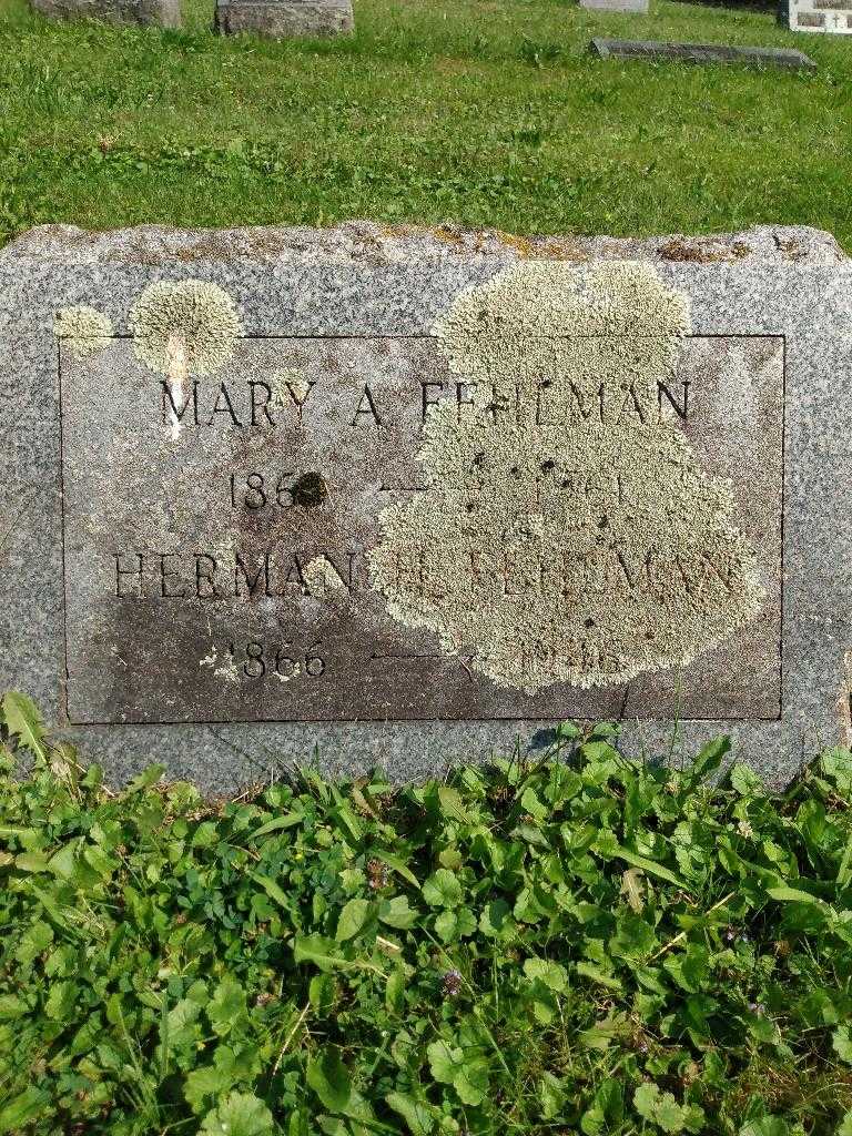 Herman H. Fehlman's grave. Photo 1