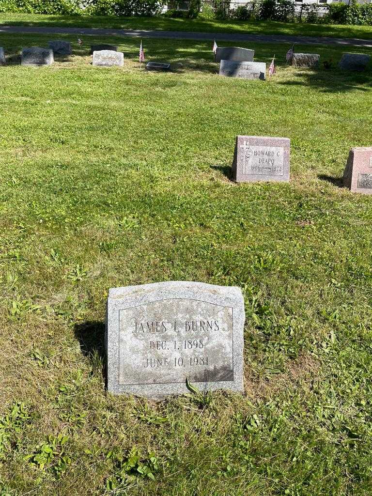 James L. Burns's grave. Photo 2
