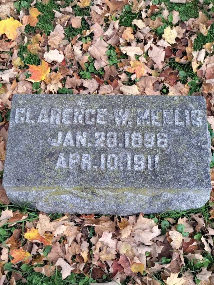 Clarence W. Meelig's grave. Photo 3