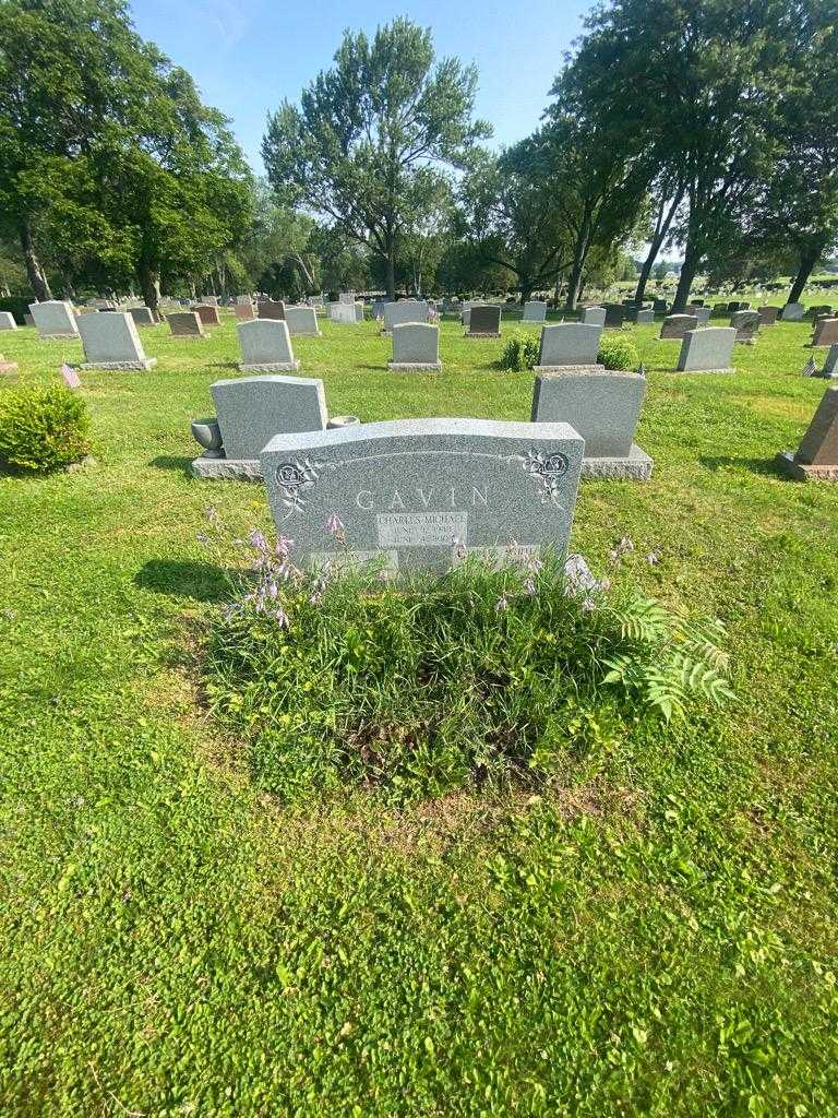 Charles Michael White Gavin's grave. Photo 1