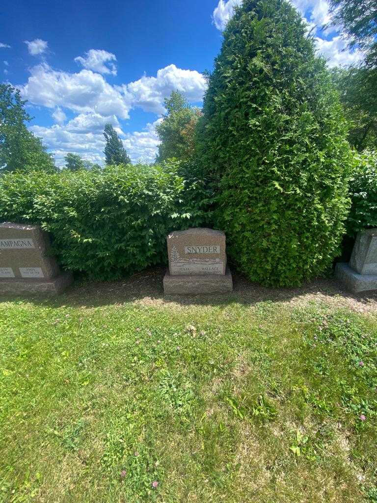 Julia Snyder's grave. Photo 1