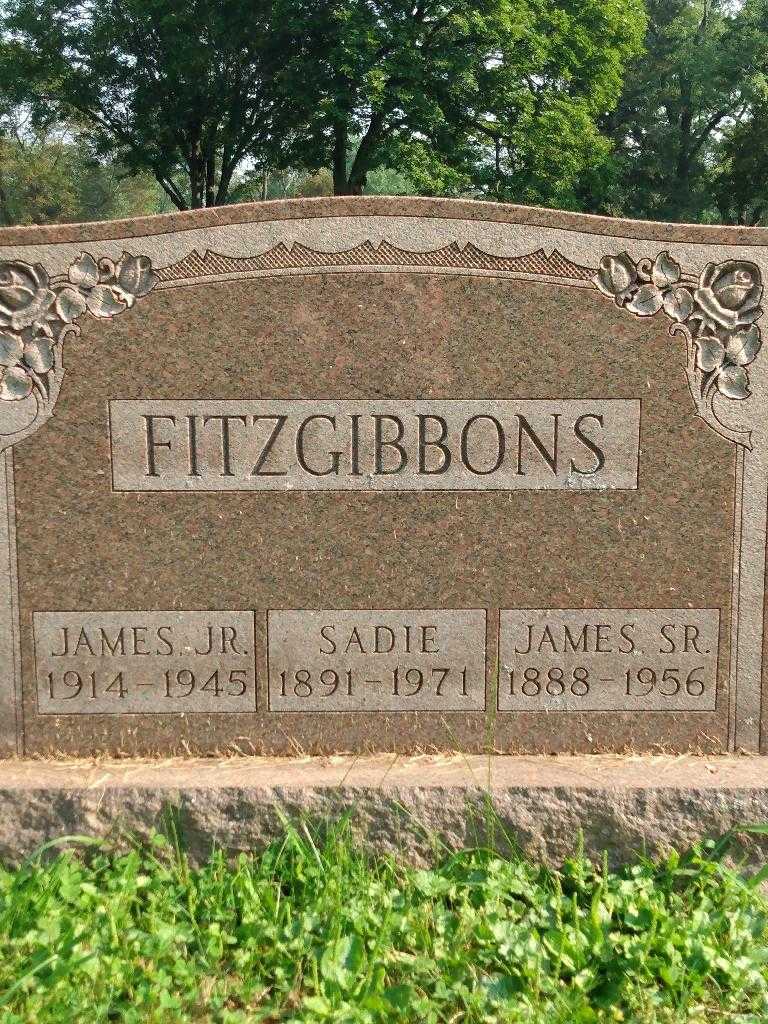 Sadie Fitzgibbons's grave. Photo 3