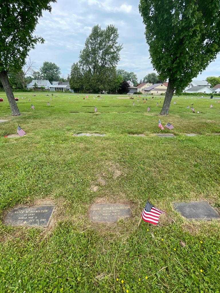 Albert Edward Hamilton's grave. Photo 1