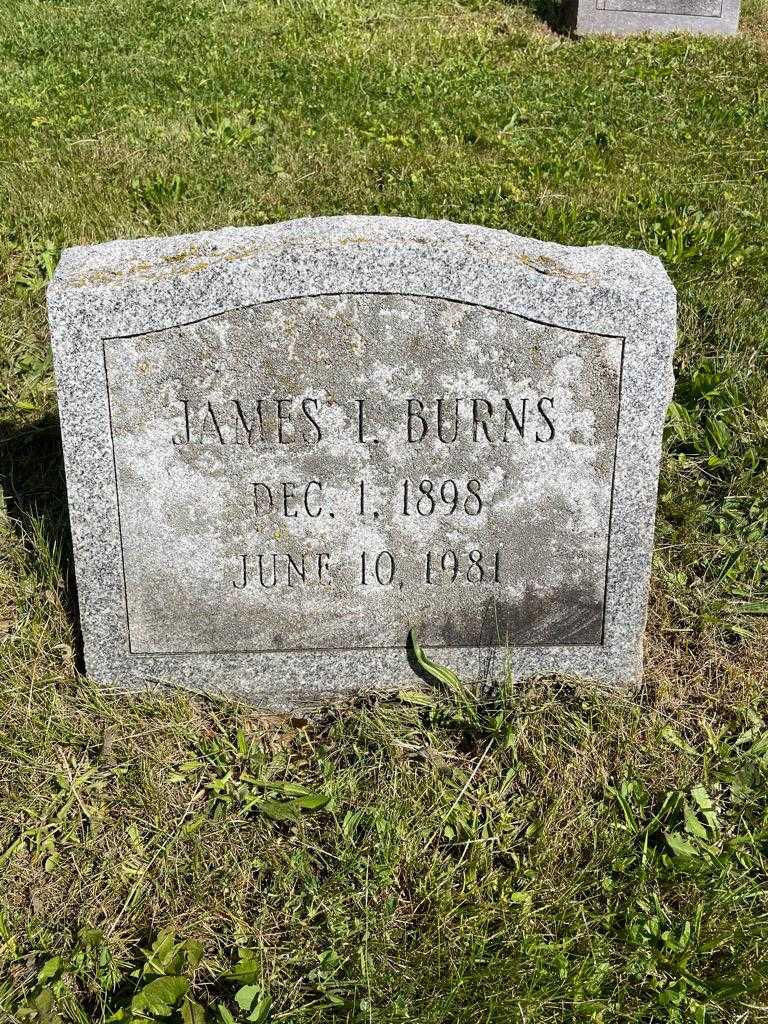 James L. Burns's grave. Photo 3