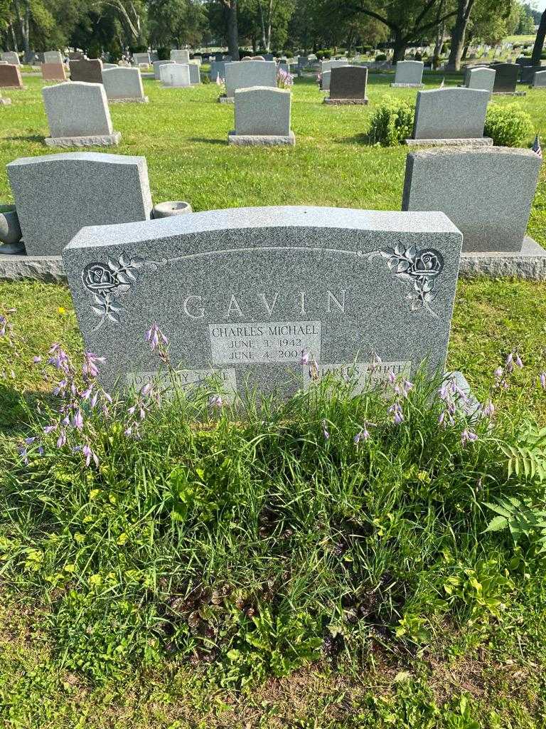 Charles Michael White Gavin's grave. Photo 2