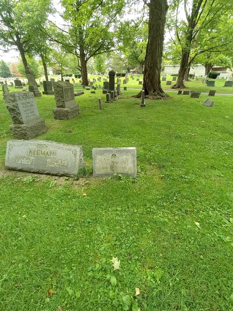 Ella S. Meyer's grave. Photo 1