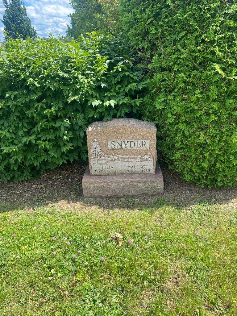 Julia Snyder's grave. Photo 2