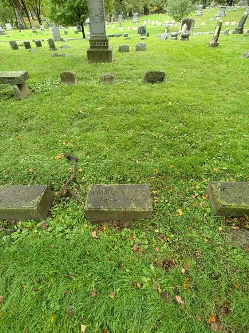 Salomea Oswald's grave. Photo 1