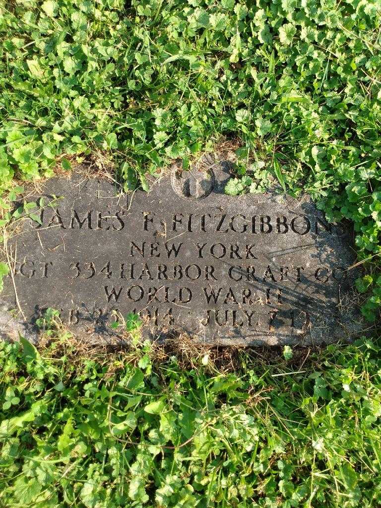 James Fitzgibbons Junior's grave. Photo 4