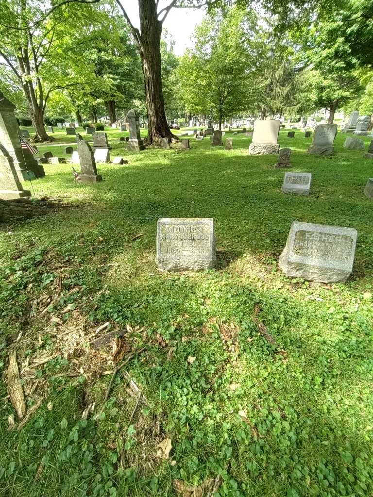 Mary A. Gross Bittel's grave. Photo 1