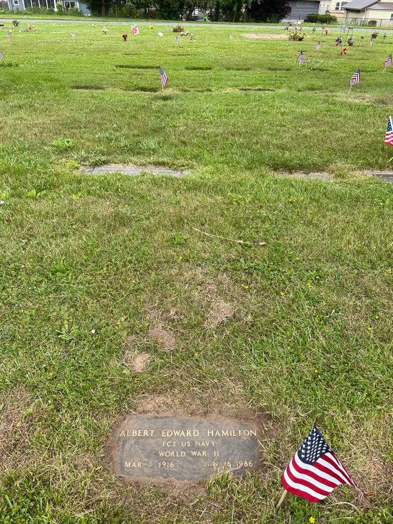 Albert Edward Hamilton's grave. Photo 2