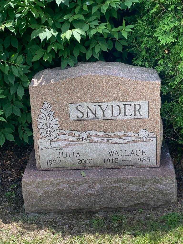 Julia Snyder's grave. Photo 3