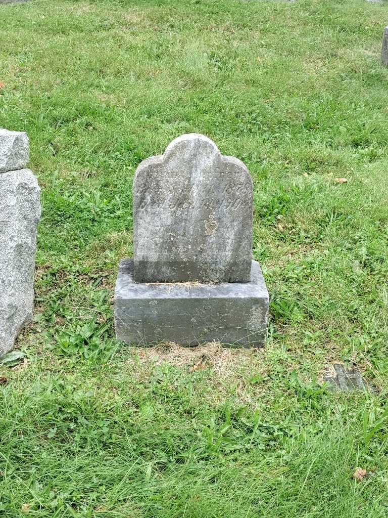 Frank Hepfner's grave. Photo 2