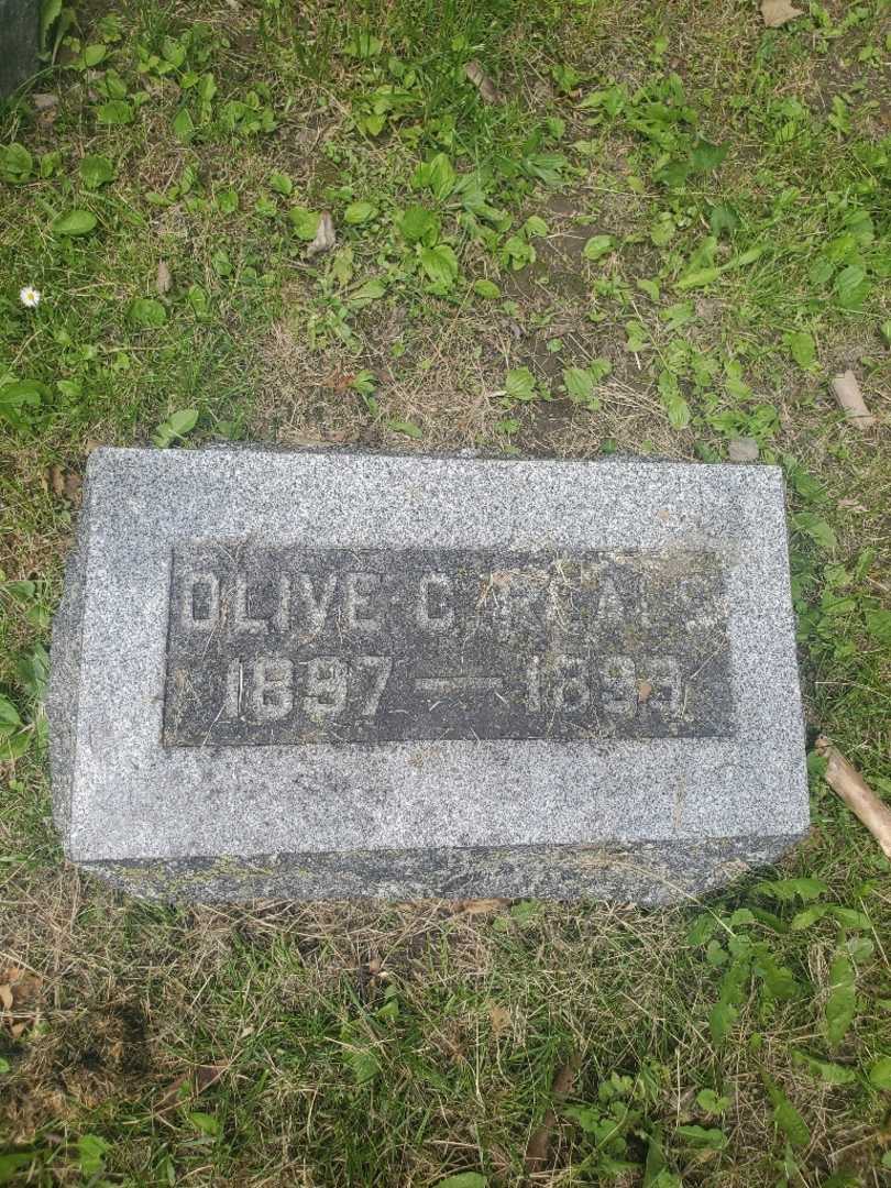 Olive C. Reals's grave. Photo 4