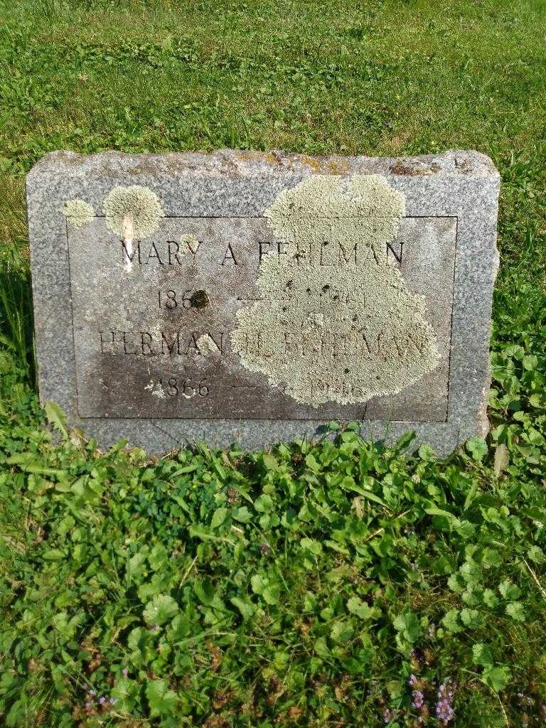 Mary A. Fehlman's grave. Photo 2