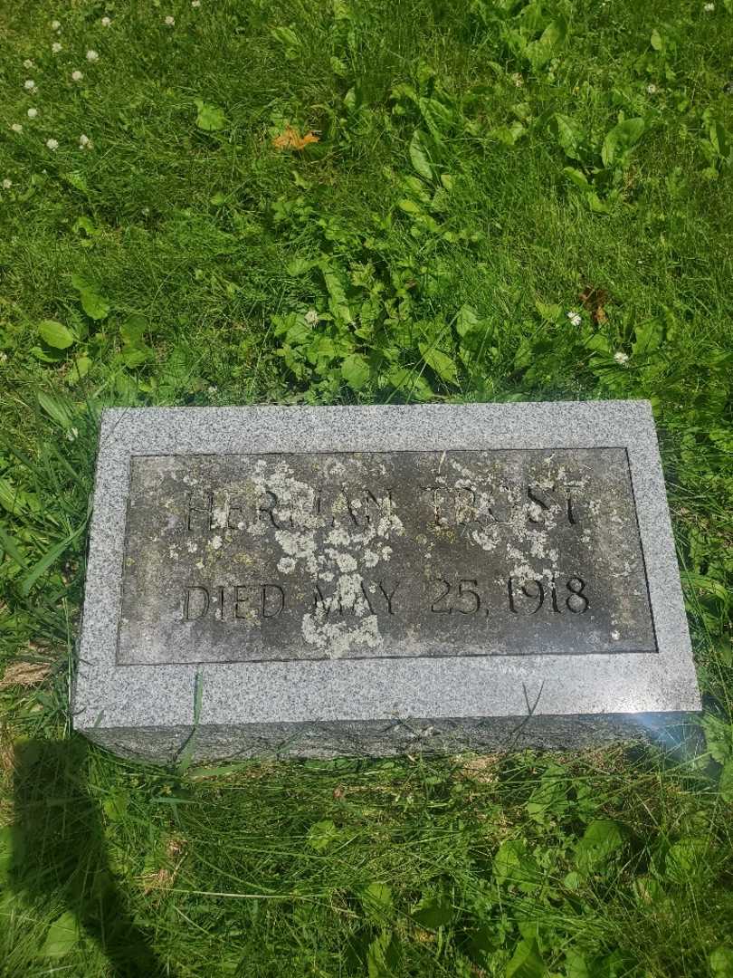 Herman Trost's grave. Photo 3