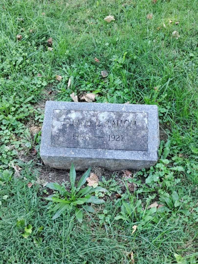 Floyd L. Rauch's grave. Photo 2