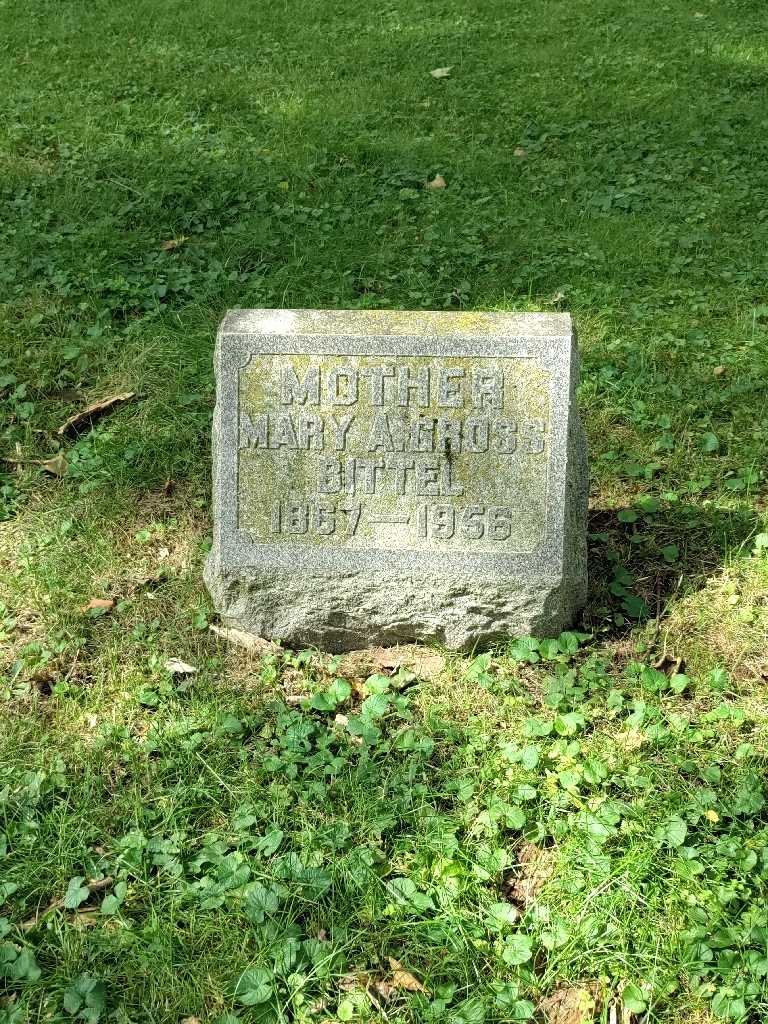 Mary A. Gross Bittel's grave. Photo 2