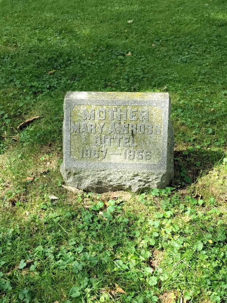 Mary A. Gross Bittel's grave. Photo 2