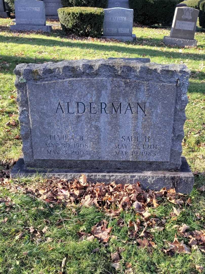 Elvira B. Alderman's grave. Photo 1