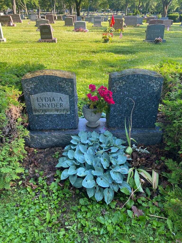 Lydia A. Snyder's grave. Photo 2