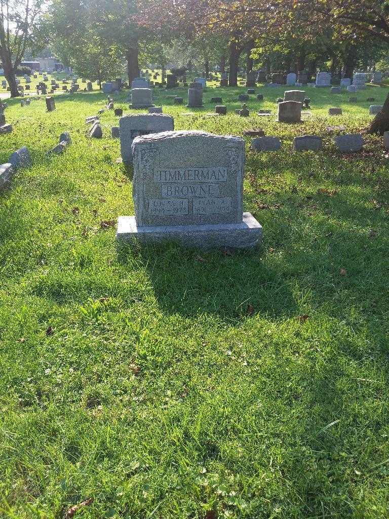 Ivan A. Timmerman's grave. Photo 1