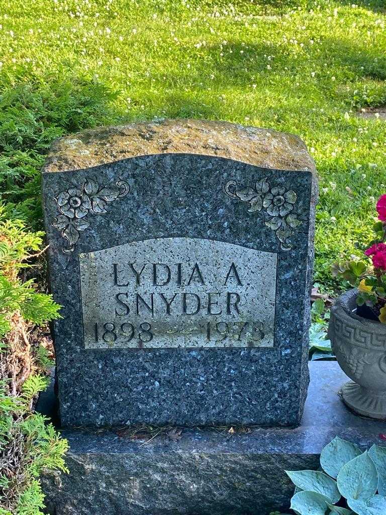 Lydia A. Snyder's grave. Photo 3