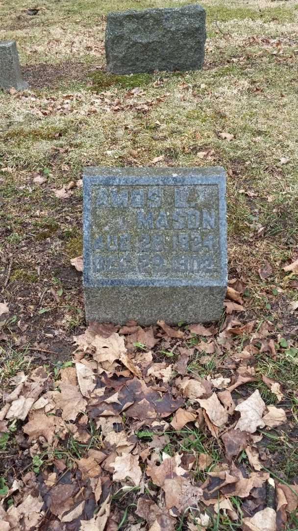 Amos L. Mason's grave. Photo 2