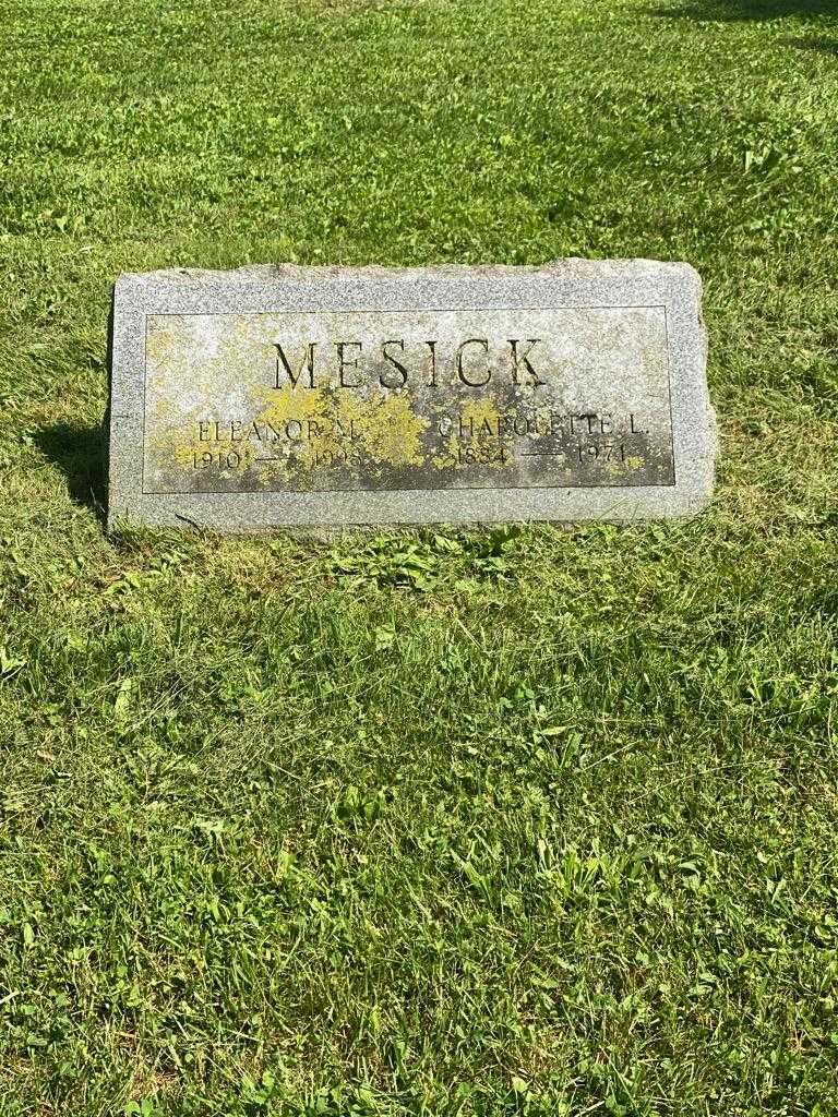 Eleanor M. Mesick's grave. Photo 3
