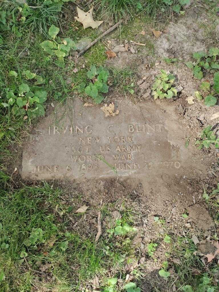 Irving C. Blint's grave. Photo 1