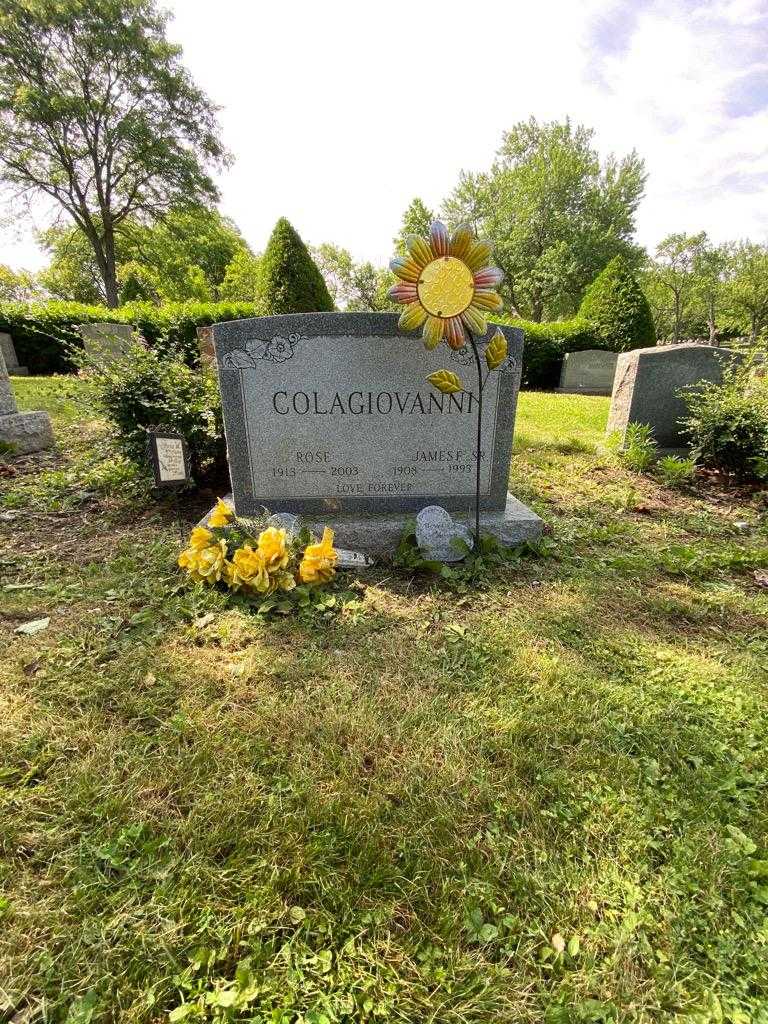 James Colagiovanni Senior's grave. Photo 1