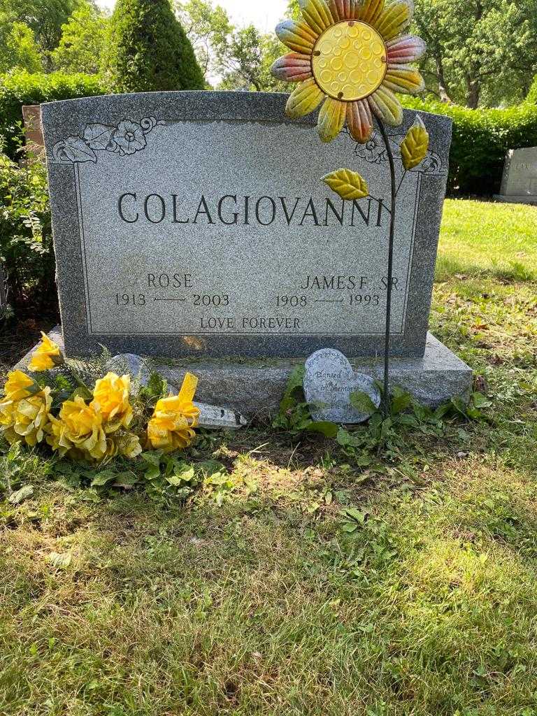 James Colagiovanni Senior's grave. Photo 2