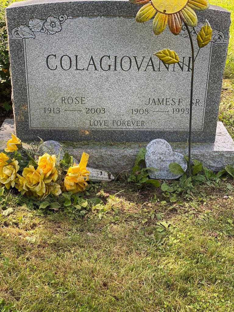 James Colagiovanni Senior's grave. Photo 3