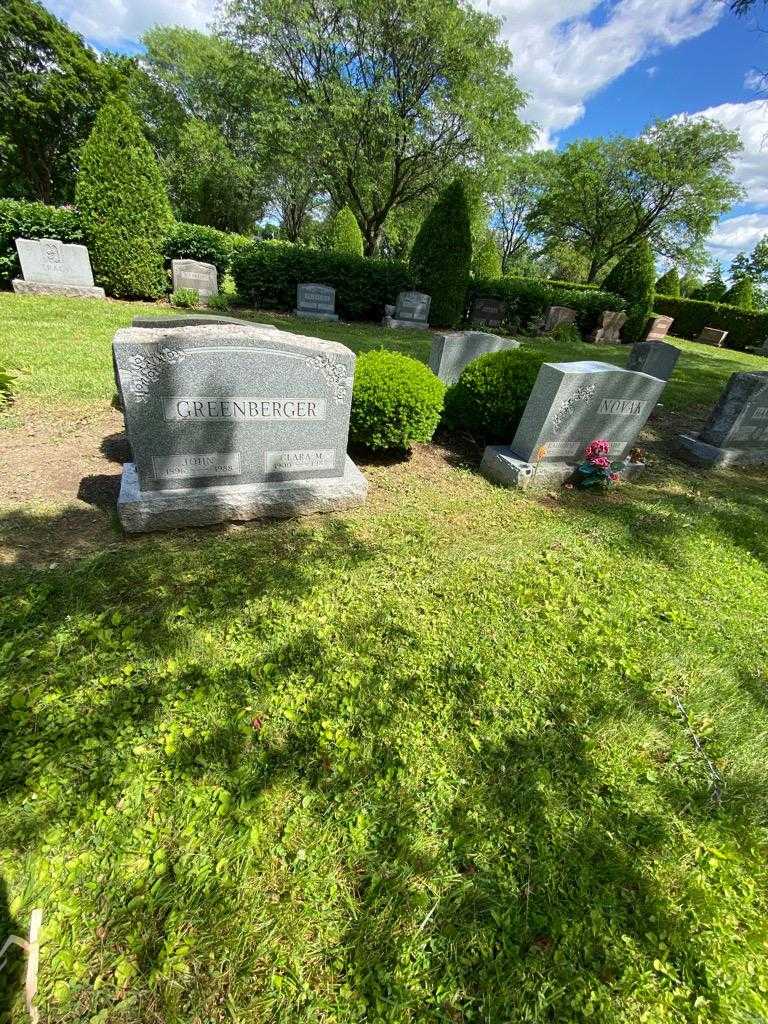 Clara M. Greenberger's grave. Photo 1