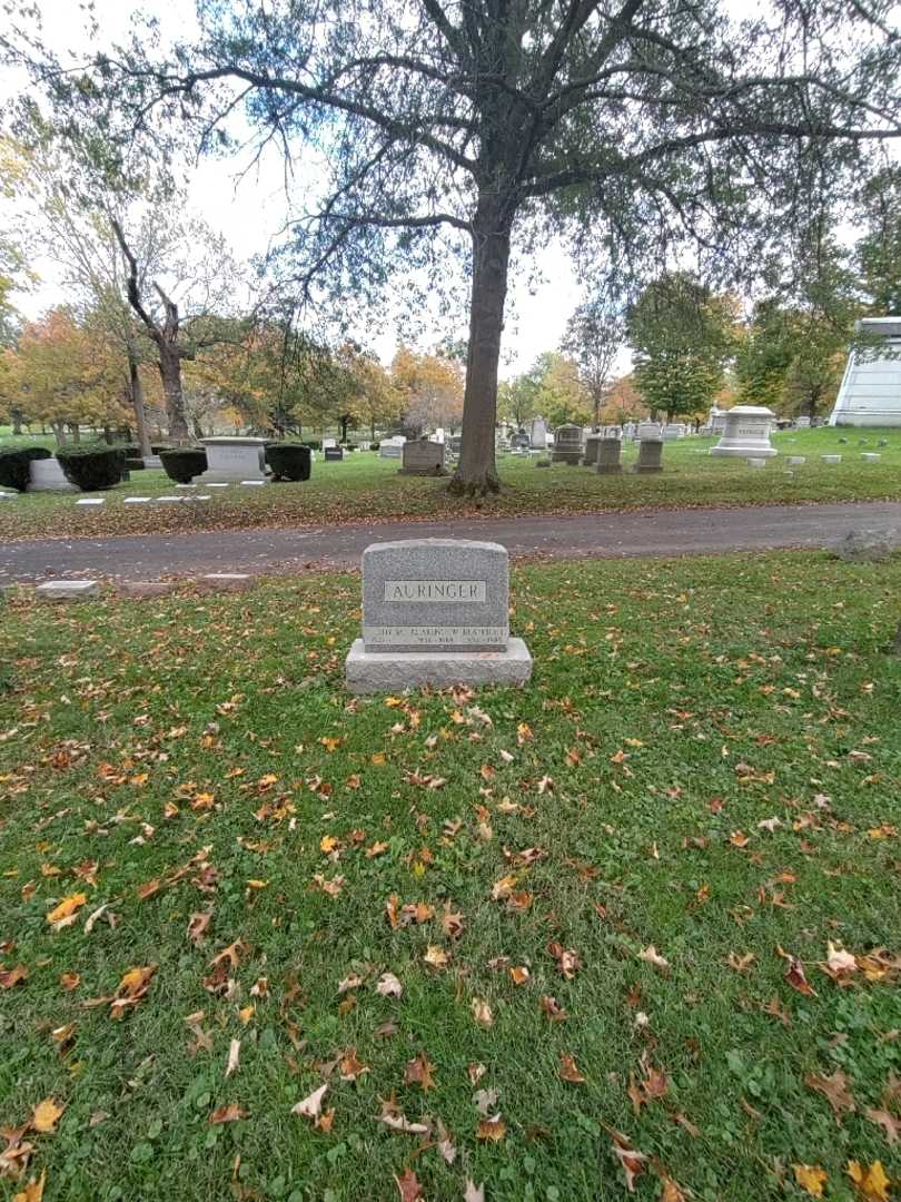 Joy M. Auringer's grave. Photo 1