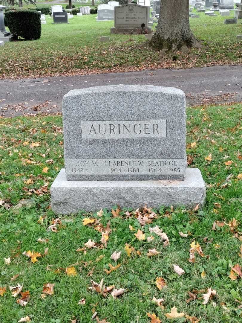Clarence W. Auringer's grave. Photo 2