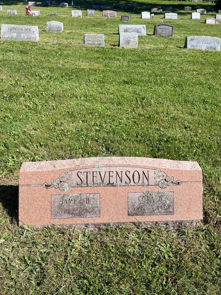 James H. Stevenson's grave. Photo 2