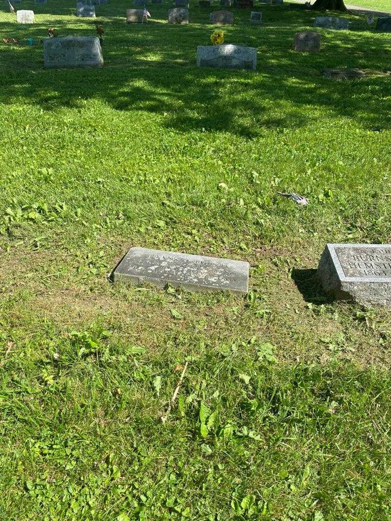 Frank J. Baulch's grave. Photo 2