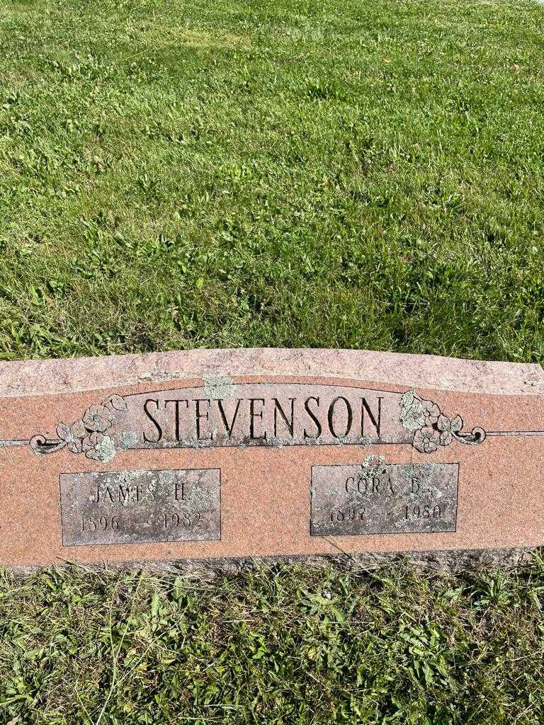 James H. Stevenson's grave. Photo 3