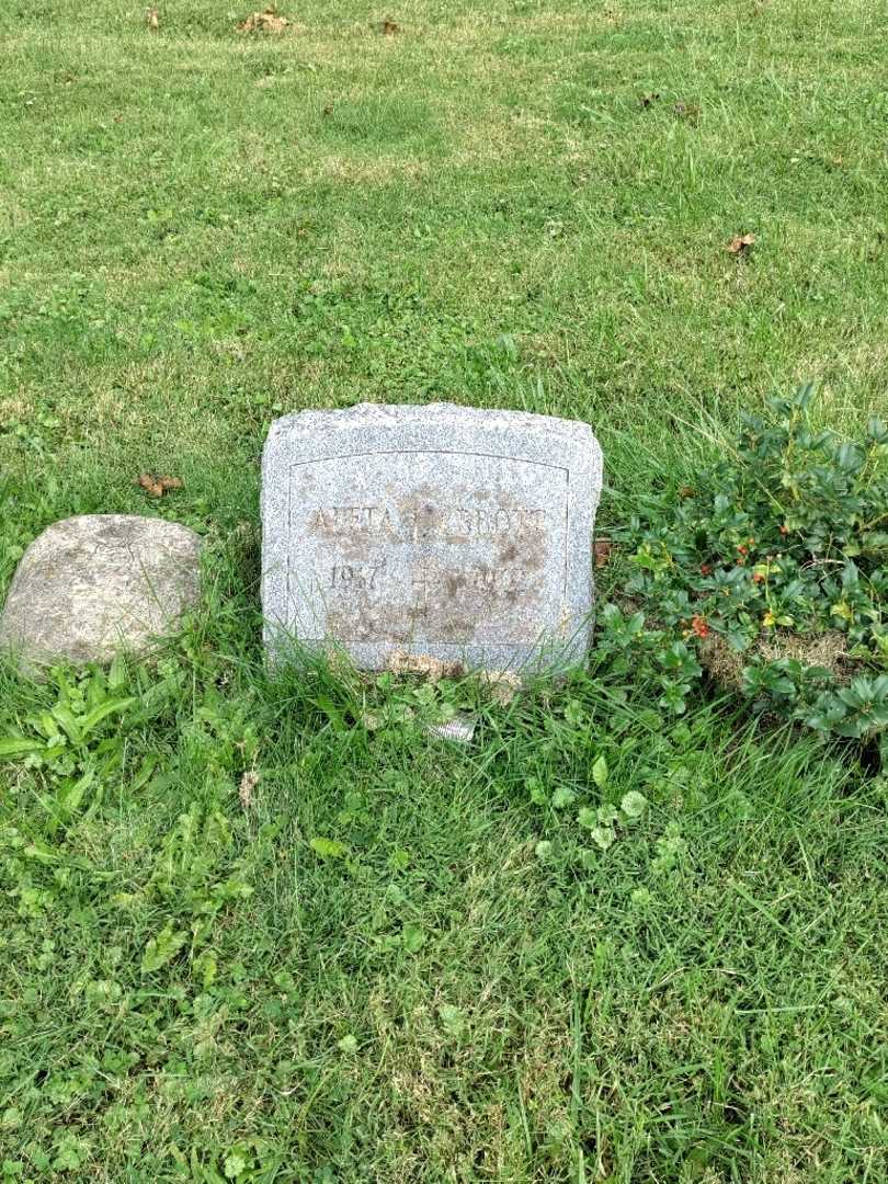 Aleta I. Abbott's grave. Photo 2
