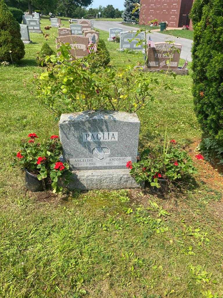 Antonio Paglia's grave. Photo 2