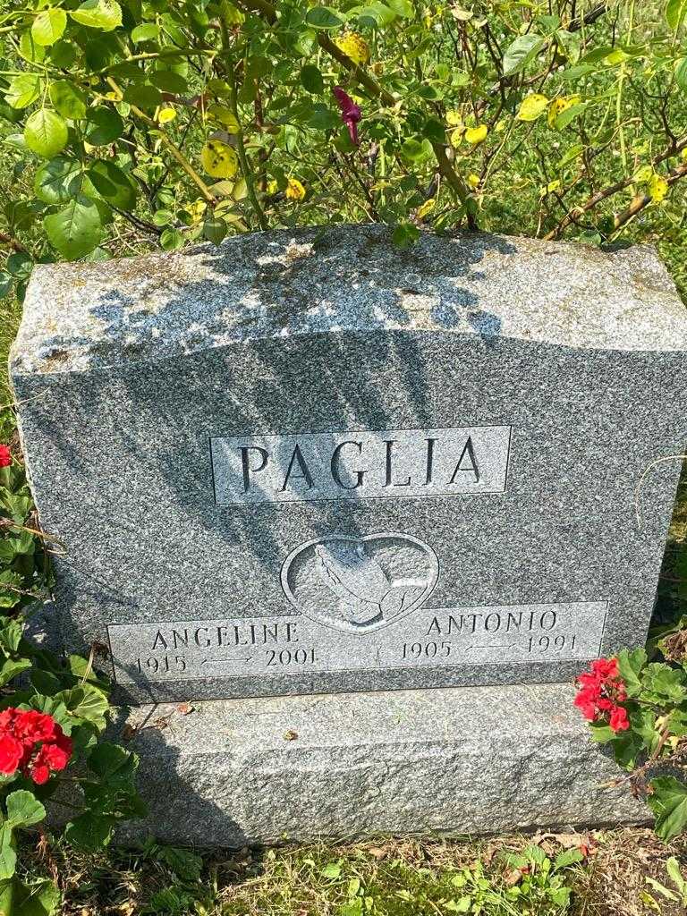 Angeline Paglia's grave. Photo 3