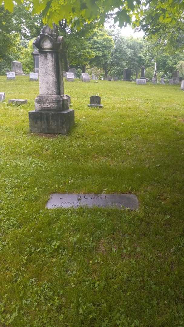 Anna D. Busse's grave. Photo 1