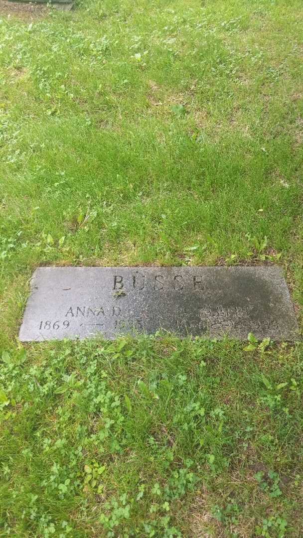 Anna D. Busse's grave. Photo 2