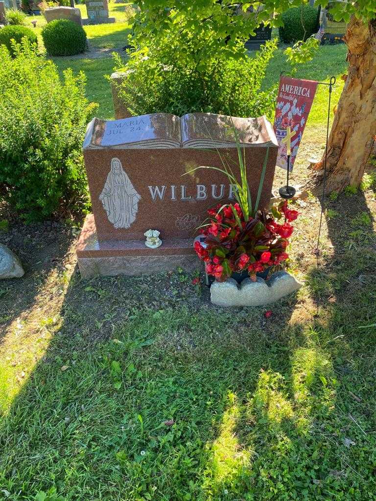 Ernest S. Wilbur's grave. Photo 2