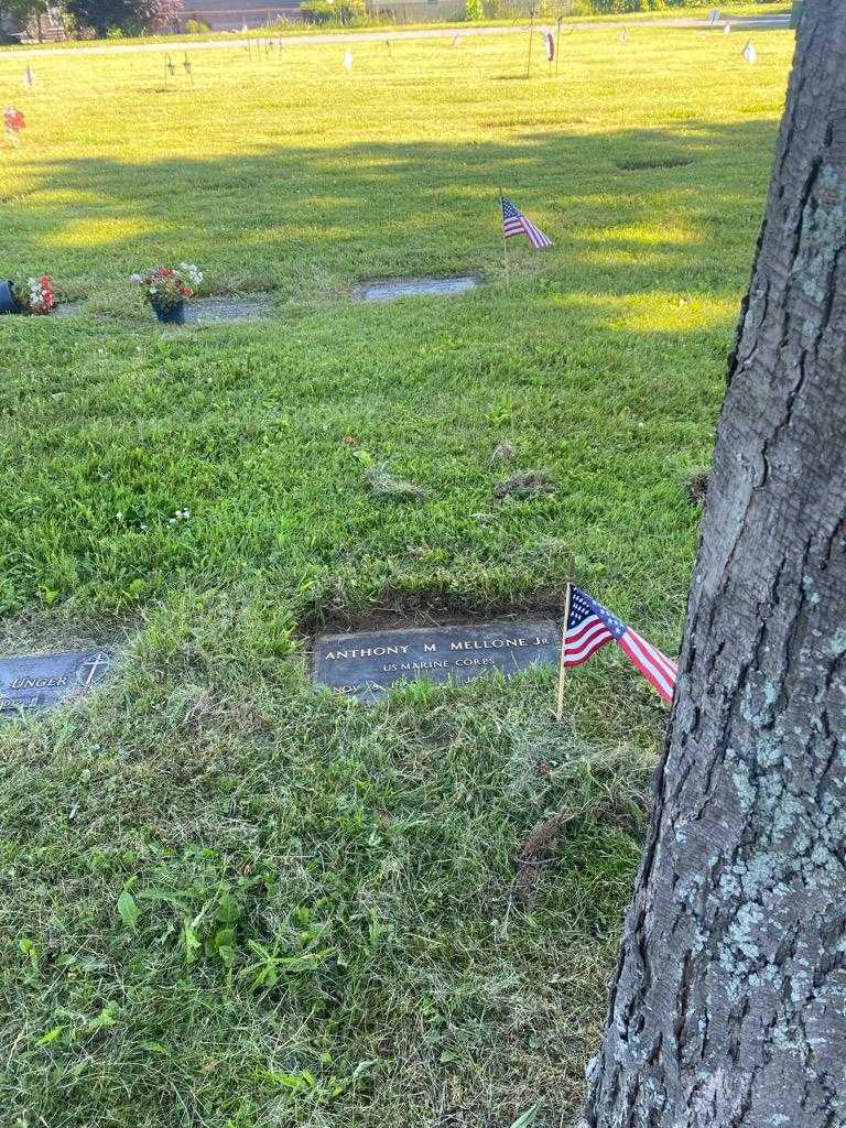 Anthony M. Mellone Junior's grave. Photo 2