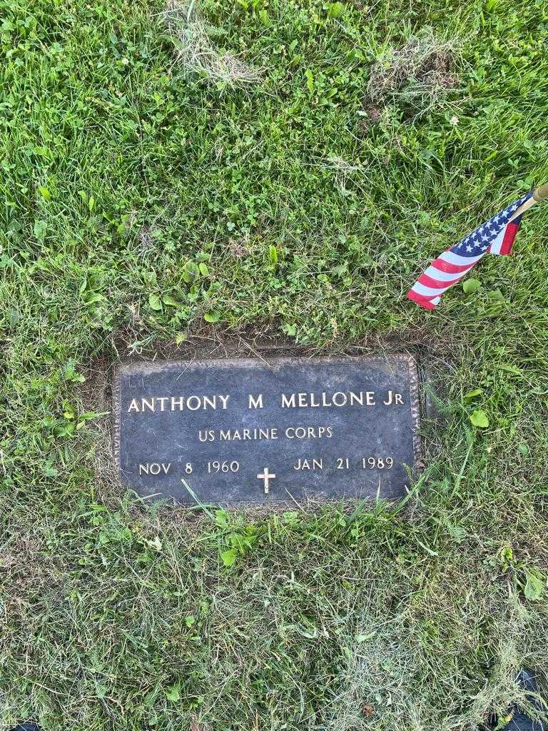 Anthony M. Mellone Junior's grave. Photo 3
